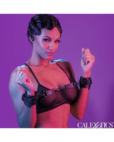 CALEXOTICS - EUPHORIA MENOTTES