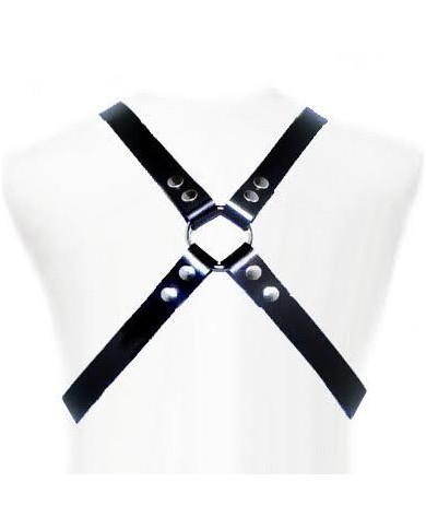 LEATHER BODY - BASIC HARNESS