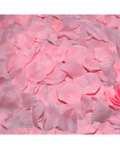 SPICY DEVIL - 100 PINK PETALS