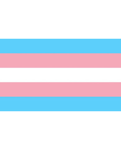 PRIDE - DRAPEAU TRANSEXUEL...